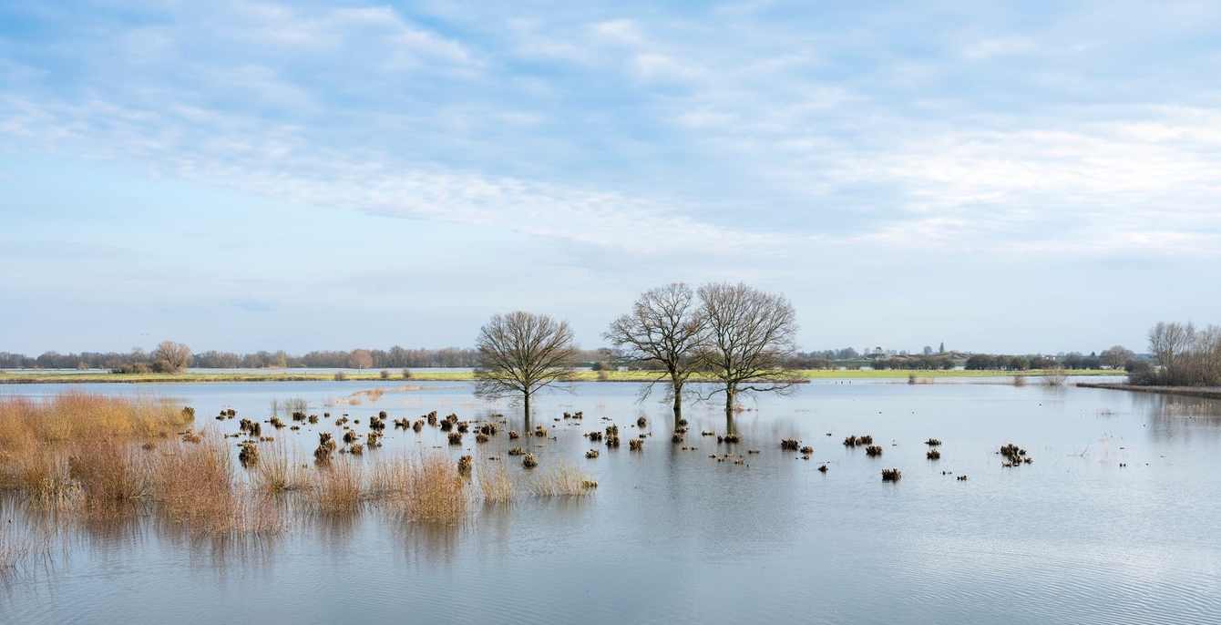 Waterveiligheid Header