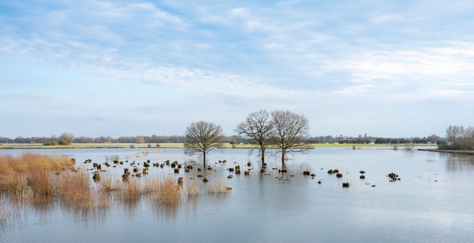 Waterveiligheid Header
